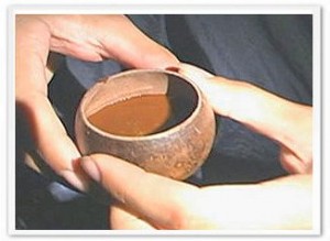 The finished ayahuasca drink