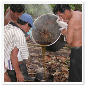 Pouring off the ayahuasca